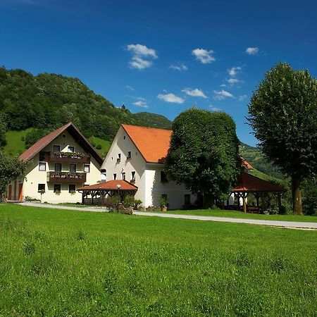 Tourist Farm Zelinc Villa Cerkno Buitenkant foto