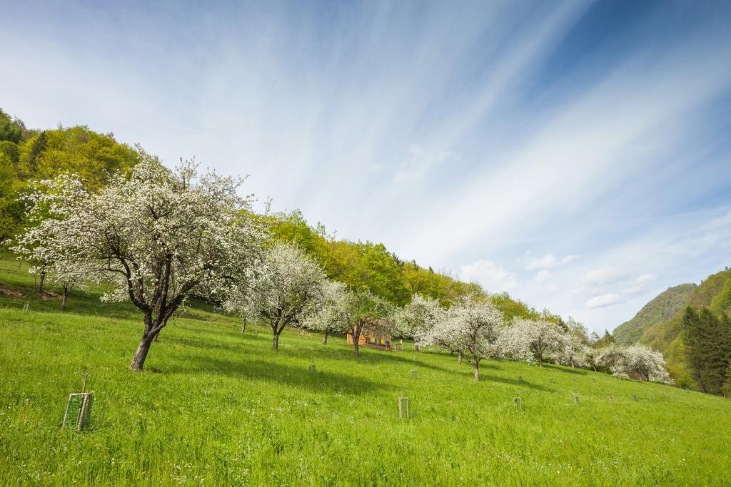 Tourist Farm Zelinc Villa Cerkno Buitenkant foto