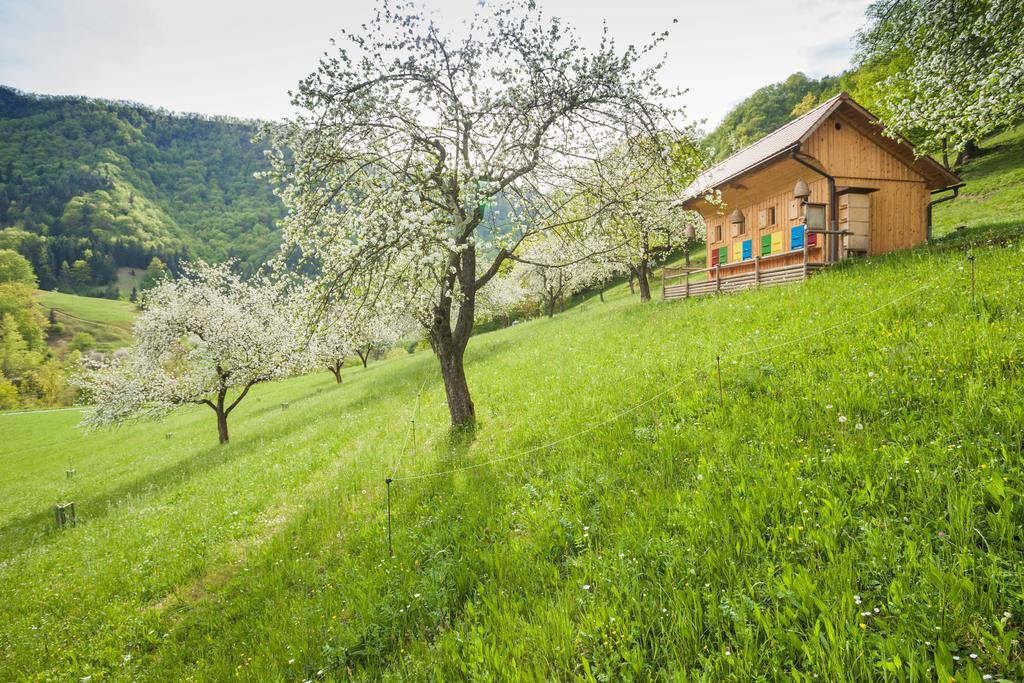 Tourist Farm Zelinc Villa Cerkno Buitenkant foto