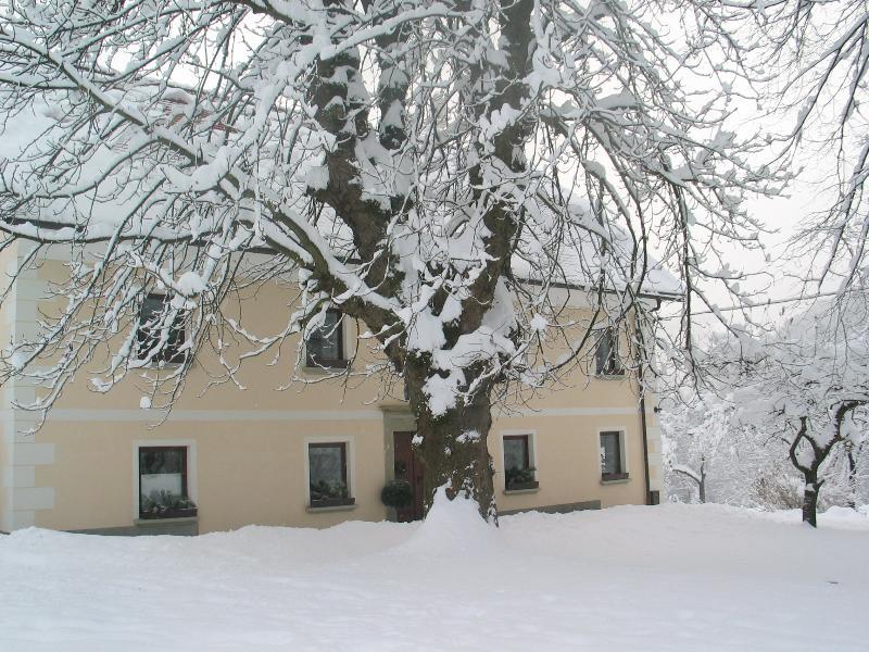 Tourist Farm Zelinc Villa Cerkno Buitenkant foto